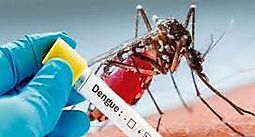 ltimo informe epidemiolgico revela un aumento en casos de dengue