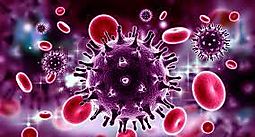 Al menos 45 infectados con viruela del mono son portadores de VIH