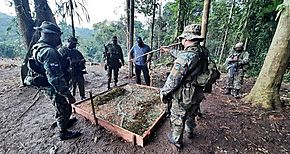 Panamá refuerza vigilancia y cuida sus fronteras con Colombia asegura el ministro Pino