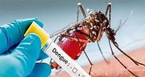 Minsa registra 480 casos por dengue en lo que va de 2022