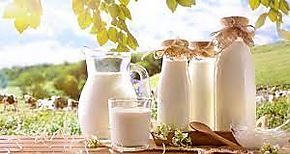 Complicada situacin para los productores de leche en Chiriqu