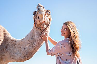 La primera leche de camella de Espaa es de Fuerteventura y es la nica junto con la de yegua y la de rata que no tiene lactosa