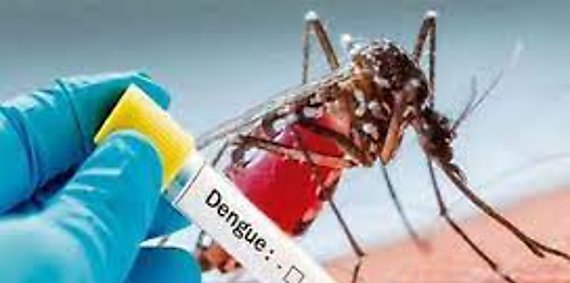 ltimo informe epidemiolgico revela un aumento en casos de dengue