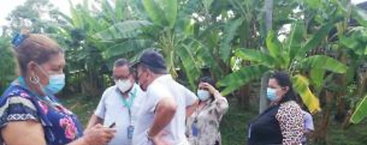 Saneamiento Ambiental realiza inspecciones en Finca  30 en Changuinola
