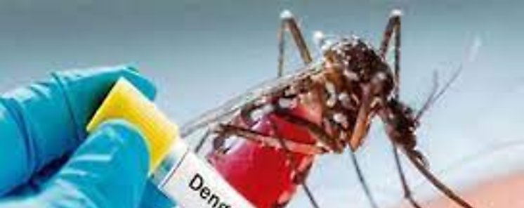 Minsa registra 480 casos por dengue en lo que va de 2022