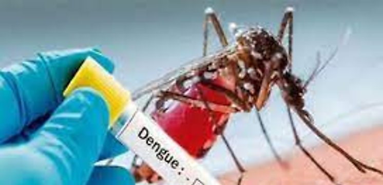 MINSA inform que en Panam est circulando un nuevo serotipo de dengue